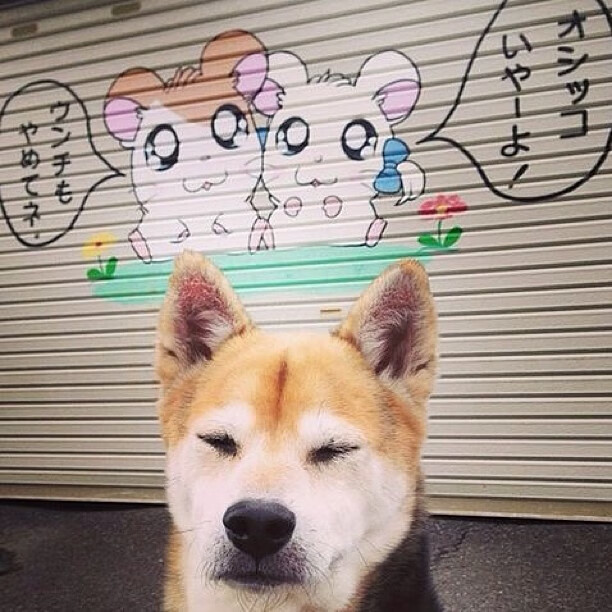 节奏变化是否容易暴露阵容防守弱点，节奏变化的基本方式